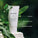 Feel Fresh soothing deodorant and antiperspirant cream contains pink grapefruit and gingergrass essential oils. It's soothing, has a citrus scent and is a breathable formula. Product is in a white tube with a leaf draped over.